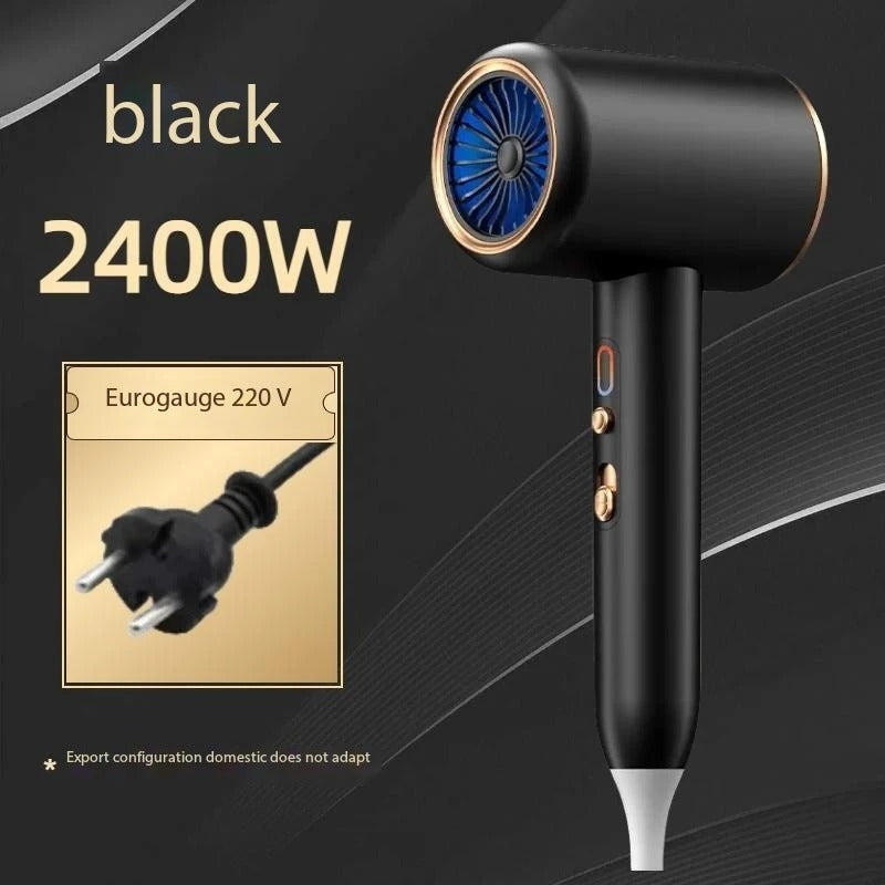Professional Hair Dryer – 2400W Hot & Cold Wind Ionic Blow Dryer