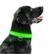 LED Glog Collar Rechargeable