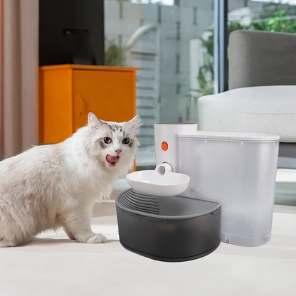 Pet Water Dispenser | Fresh Water Your Pets Will Love