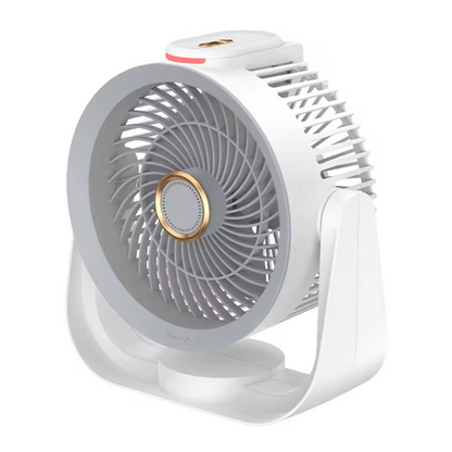 Wall-Ceiling Fan with Cooling Function | Silent Luxury for Fresh Rooms