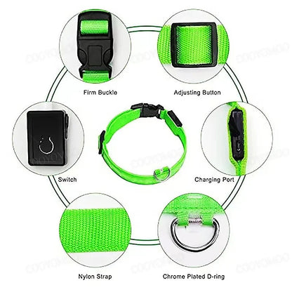 LED Glog Collar Rechargeable
