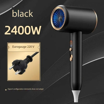 Professional Hair Dryer – 2400W Hot & Cold Wind Ionic Blow Dryer